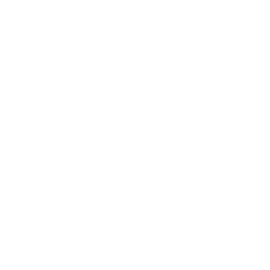 Cedrik Hoenir